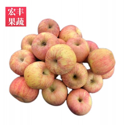 净重10斤烟台栖霞红富士80mm净重晚摘脆甜中大果丑苹果包邮图5