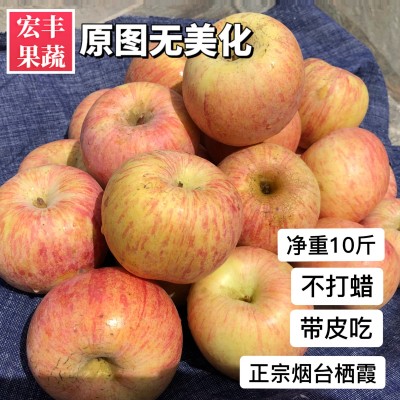净重10斤烟台栖霞红富士80mm净重晚摘脆甜中大果丑苹果包邮图4