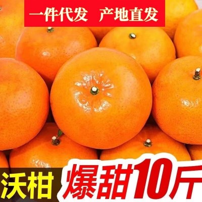 沃柑柑橘南方砂糖橘子整箱桔子柑桔耙耙柑新鲜水果9一件代发批发图2
