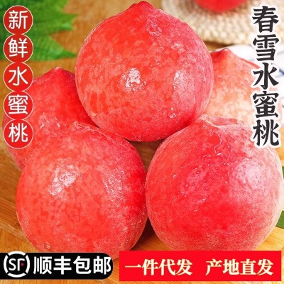 春雪水蜜5斤冬脆桃毛桃春桃当季整箱孕妇桃现摘桃子水果一件代发