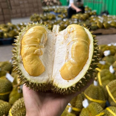 卓恬园 泰国甲仑榴莲 新鲜孕妇水果当季带壳巴掌榴莲浓郁丝滑香甜图2