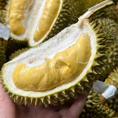 卓恬园 泰国甲仑榴莲 新鲜孕妇水果当季带壳巴掌榴莲浓郁丝滑香甜图3
