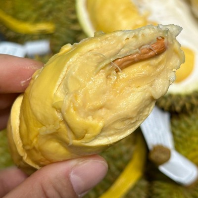 卓恬园 泰国甲仑榴莲 新鲜孕妇水果当季带壳巴掌榴莲浓郁丝滑香甜图4