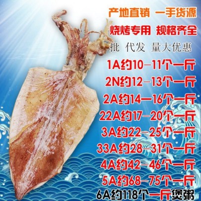 广西北海鲜水产海捕烧烤手撕淡干大干鱿鱼干货小大尤鱼2a散装批发图2