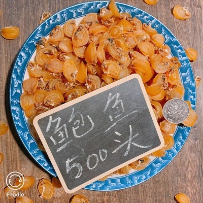 500头鲍鱼仔图3