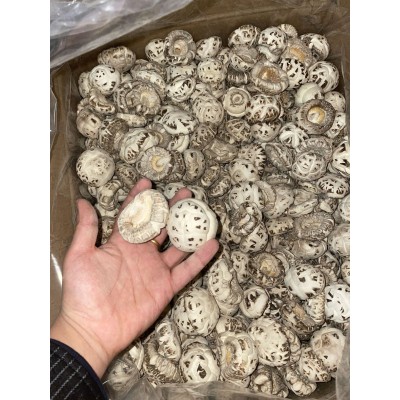 花菇干货新货批发白花菇散装肉厚净重冬菇蘑菇随州特产厚花菇香菇图4