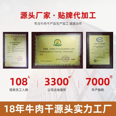 蒙皓缘风干牛肉干现烤手撕牛肉烘烤牛肉干内蒙古特产孕妇儿童零食图3