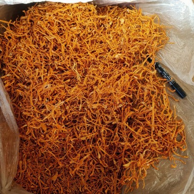 大孢子头北虫草子实体切割虫草花 干货食用菌 金虫草图4
