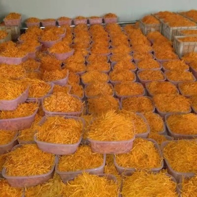 大孢子头北虫草子实体切割虫草花 干货食用菌 金虫草图5