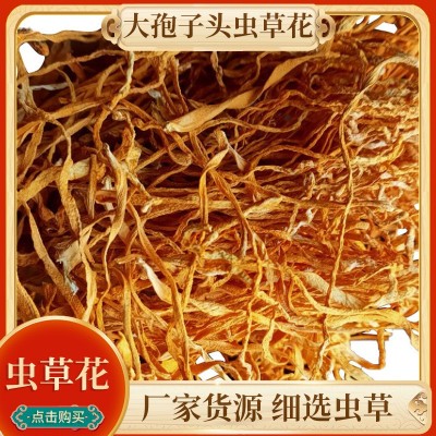 大孢子头北虫草子实体切割虫草花 干货食用菌 金虫草
