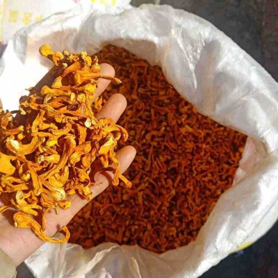 内蒙1千克畸形草干货虫草可烹调煲粥煲汤营养虫草花厨房食材系列图2