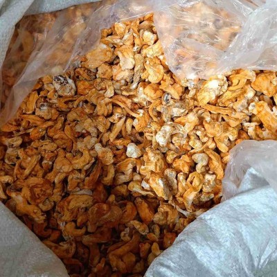 内蒙1千克畸形草干货虫草可烹调煲粥煲汤营养虫草花厨房食材系列图3