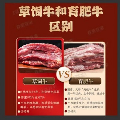 首菜首家 正宗内蒙牛肉干手撕风干牛肉250g炭烤牛肉干厂价零食图2
