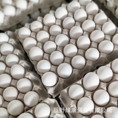 现货白壳新鲜鸡蛋批发白壳鸡蛋五谷喂养鲜鸡蛋360枚一箱厂家批发图2