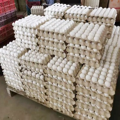 现货白壳新鲜鸡蛋批发白壳鸡蛋五谷喂养鲜鸡蛋360枚一箱厂家批发图4