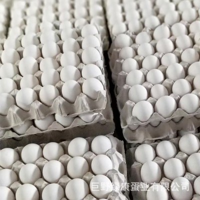 现货白壳新鲜鸡蛋批发白壳鸡蛋五谷喂养鲜鸡蛋360枚一箱厂家批发图3