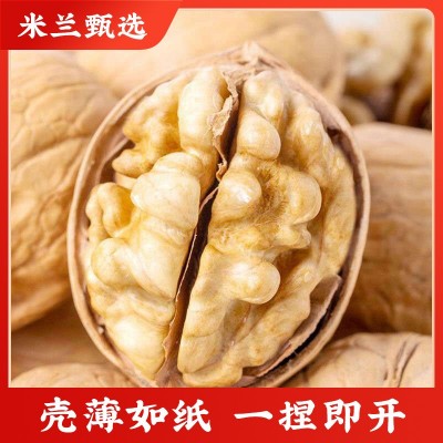 阿克苏185纸皮生核桃新疆产地直发即食解馋坚果零食手剥核桃批代图2