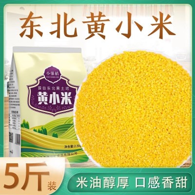 东北小黄米新米5斤 小米粥东北农家自产杂粮黄小米月子米粘糯粮食图2