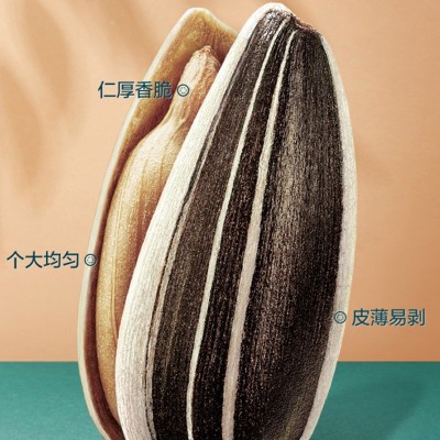 内蒙瓜子散装大袋焦糖五香原味葵花籽500g/袋年货大颗粒363熟瓜子图2