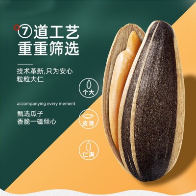 陈皮瓜子 内蒙古特产葵花籽大颗粒瓜子500g/袋贴牌代工新日期瓜子图3