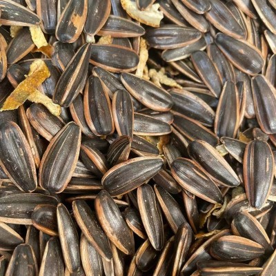 陈皮瓜子 内蒙古特产葵花籽大颗粒瓜子500g/袋贴牌代工新日期瓜子图2