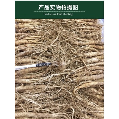 【福康霖洋】新鲜人参东北现货产地直供现货速发小人参图3