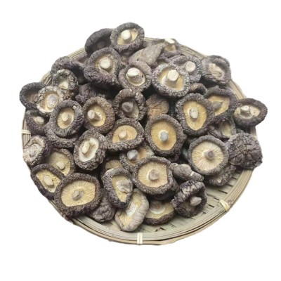 香菇干货批发西峡干香菇特产大厚菇产地直发无干燥剂散装剪根图5
