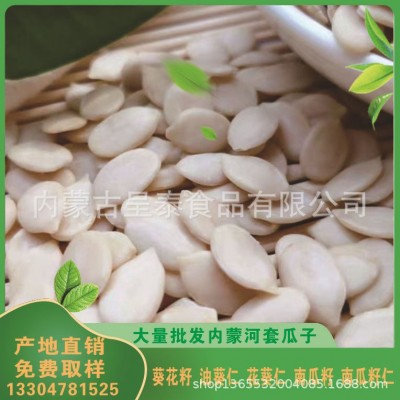 生西瓜籽仁糕点馅料烘焙原料 500g装图2