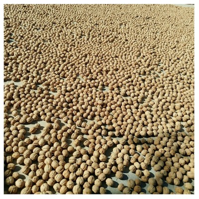 新货新疆特产薄皮手剥185纸皮核桃生核桃9斤整箱包邮坚果干果零食图5