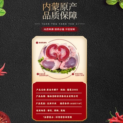 原油羊腰子现货批发羊腰子新鲜商用原油羊腰子内蒙古羊肉烧烤食材图3