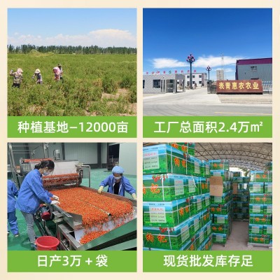 杞世苑枸杞新货大颗粒250g瓶装特级枸杞子厂家批发袋装苟杞非500g图3