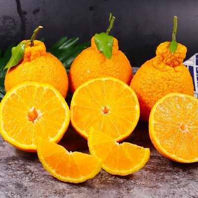 正宗四川丑橘不知火柑橘新鲜水果批发当季丑八怪粑粑柑桔顺丰礼盒图4