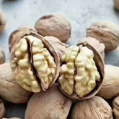 【一件代发】阿克苏185纸皮核桃 生核桃新疆特产坚果休闲零食薄皮图4