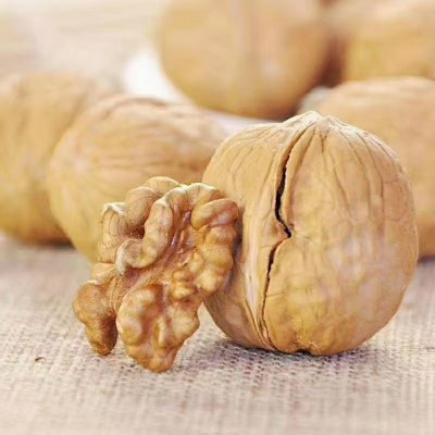 【一件代发】阿克苏185纸皮核桃 生核桃新疆特产坚果休闲零食薄皮图3
