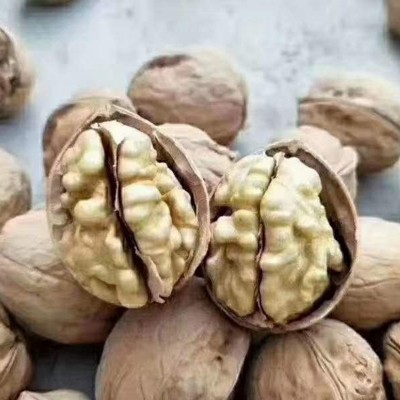 【新货整箱批发】新疆185纸皮核桃薄皮20斤整箱散装烤核桃/生核桃图3