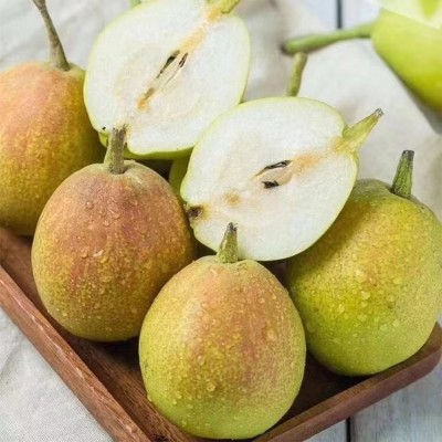新疆特产新鲜水果库尔勒香梨8斤箱装 代发包邮包损中通/顺丰随机图2