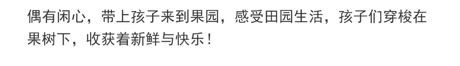 图37.jpg