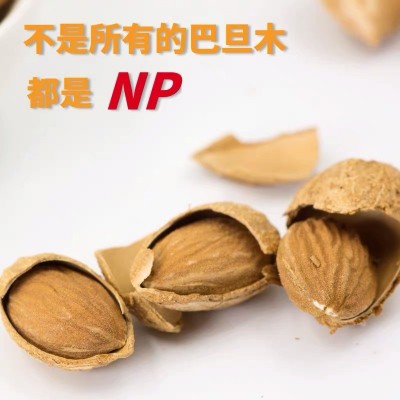 新疆特产巴旦木原味坚果散装500g包邮巴旦木手剥无添加孕妇零食图4