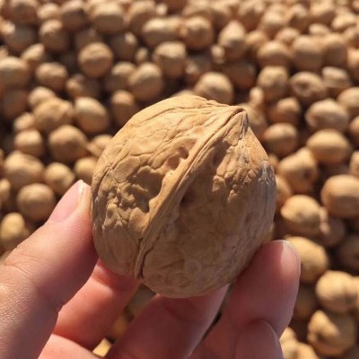 新货新疆特产阿克苏185纸皮核桃手剥大原味孕妇儿童坚果500g图2