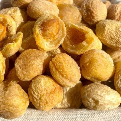新疆杏干500g 自然晾干小白杏干树上吊干杏 原产地直供批发杏干图4
