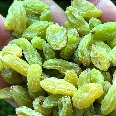 新疆绿提子葡萄干特级大量批发散装零食烘焙商用大颗粒无核提子干图4