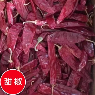 产地辣椒段中辣微辣辣椒段无籽辣椒段饭店干辣椒批发图3