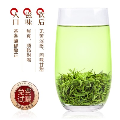 绿茶浓香型日照充足高山云雾新春茶袋装散装嫩芽毛尖茶叶袋装500g图2