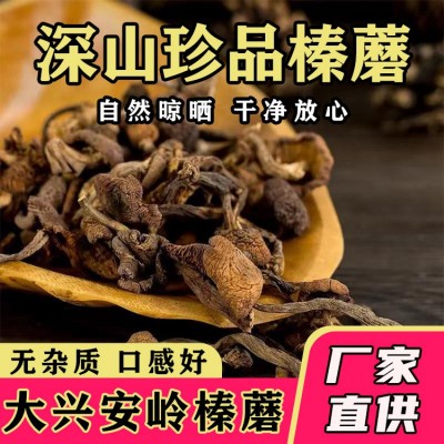 黑龙江大兴安岭榛蘑 批发干货蘑菇包邮袋装一斤500克大朵榛蘑包邮
