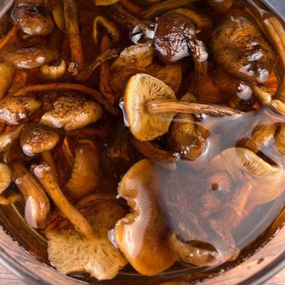 黑龙江大兴安岭榛蘑 批发干货蘑菇包邮袋装一斤500克大朵榛蘑包邮图4