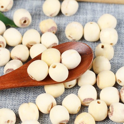 建宁特级白莲子150g/罐装干货通心无芯福建正宗批发图3