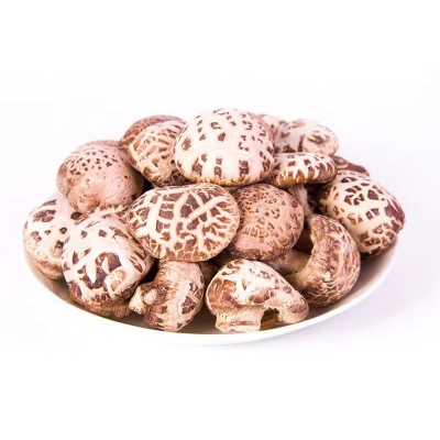 花菇香菇干货干香菇肉厚散装袋装冬菇批发食用菌200g/500g图3