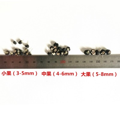 新货黑枸杞100g青海柴达木黑枸杞优质精选黑枸杞子瓶装罐装包邮图4