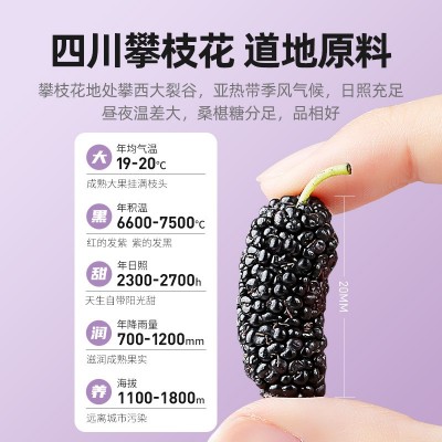 杞里香60g袋装桑葚干攀枝花桑葚泡茶泡酒黑桑葚无沙泡水花果茶图4