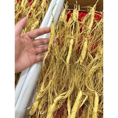 长白山林下参小克数参人参林下籽整箱批发泡酒自用送礼图4